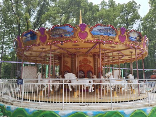 馬鞍山雙園迎客 兩大游樂園預(yù)計(jì)6月中旬開放，票務(wù)代理服務(wù)同步啟動